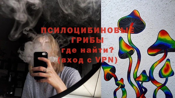 индика Липки