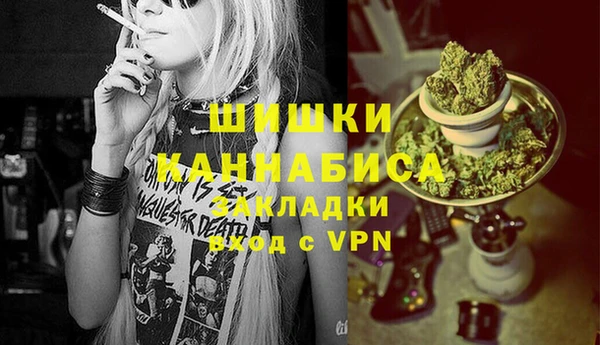 индика Липки