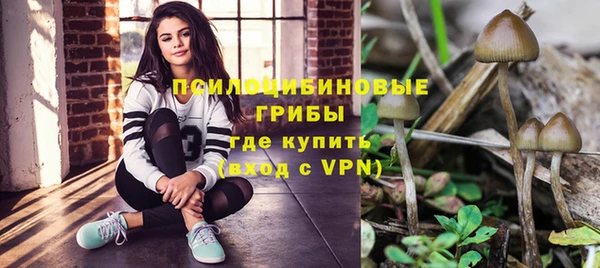 индика Липки