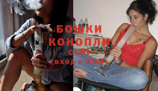 индика Липки