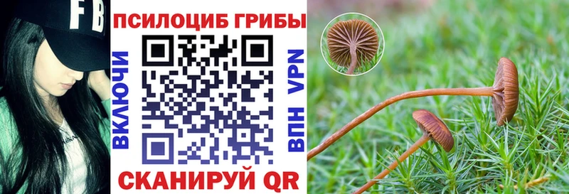 Галлюциногенные грибы MAGIC MUSHROOMS  Купить  Апрелевка 